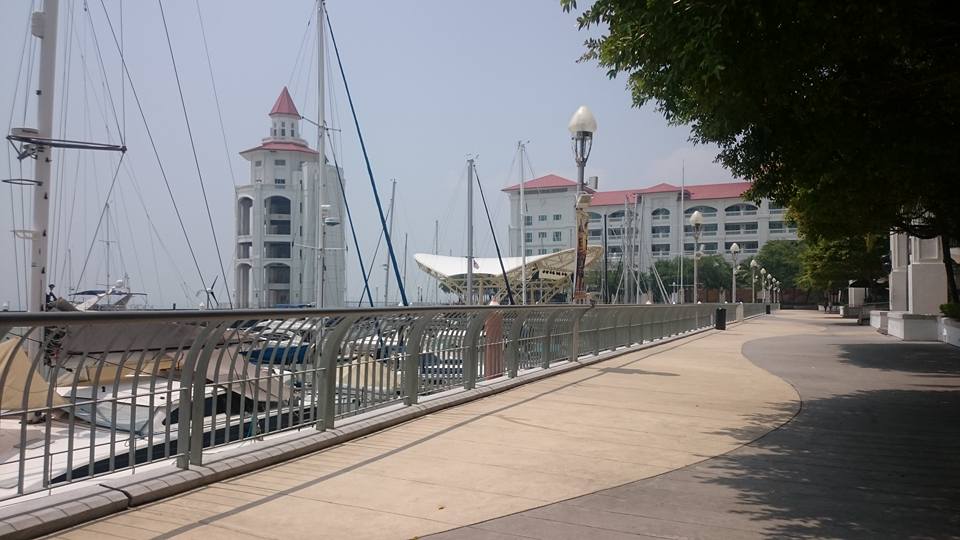 11953211_10205968351622580_6427943642962002328_n