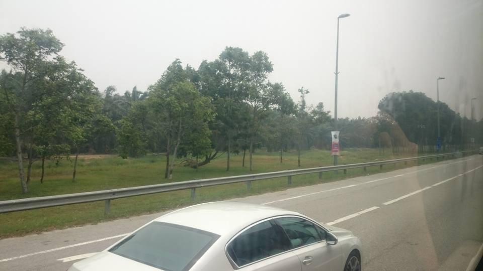 11954694_10205968216019190_2371726255266025708_n