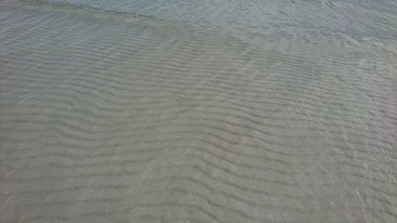 16406628_10209888997516277_1791345394486463934_n