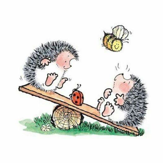 17021735_10210096898753678_4044150891763970640_n