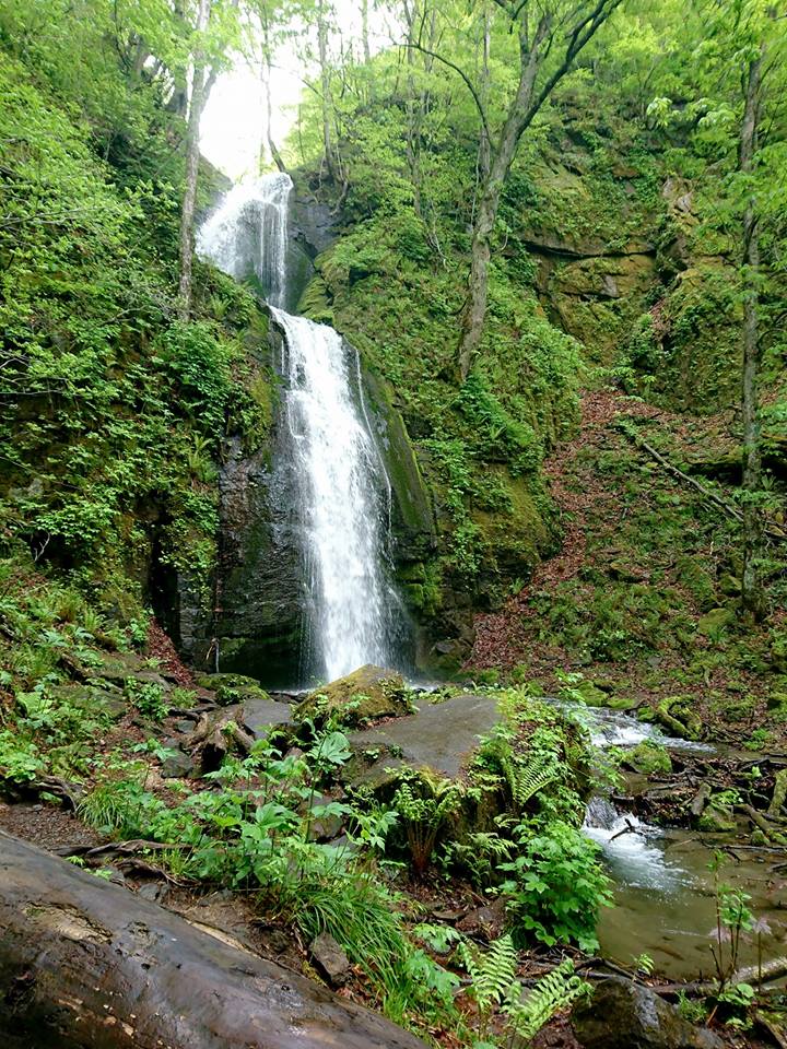 18555856_10210797531309054_2115679046151004926_n