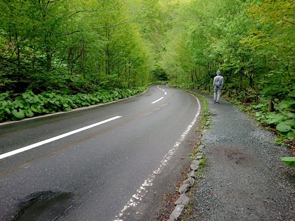 18620055_10210797532669088_6873472667644205760_n