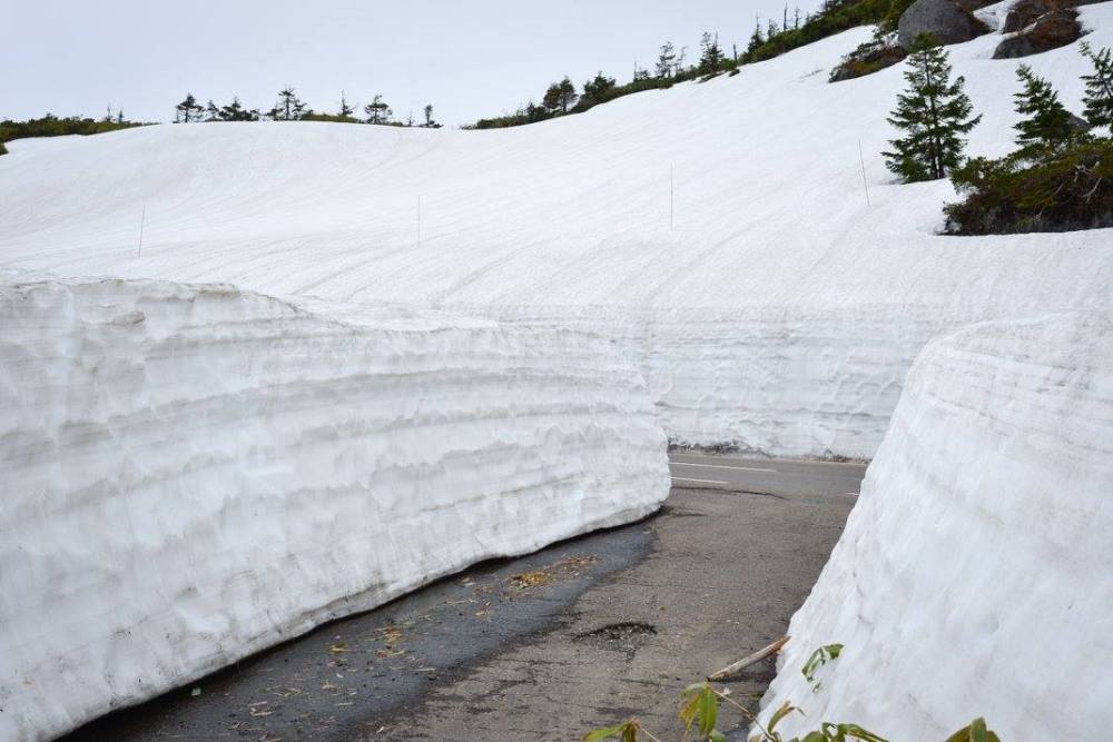 18814994_10208949948051496_6797830377250696570_o