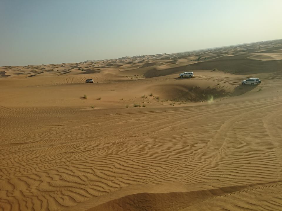 19225627_10211082669517331_7609870938327087369_n